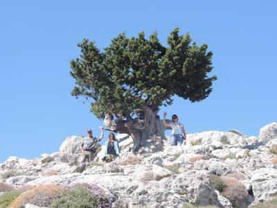 BAD team members under the Cypress tree, White Mountains (Crete)